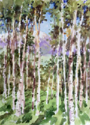 aspens-clashley-12x9-wc3.jpg