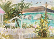 bahamas-adahouse-clashley-wc3.jpg