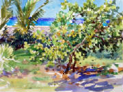 bahamas-seawall-clashley-wc3.jpg