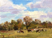 farmfieldssun-clashley-oil3.jpg