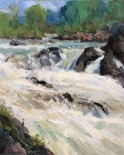 greatfallsheron-clashley-oil3.jpg