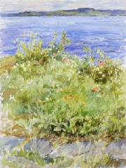 lakeshorevista-clashley-wc3.jpg