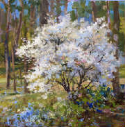 springwhites-clashley-12x12-oil3.jpg