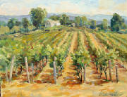 vineyard-clashley-oil.jpg